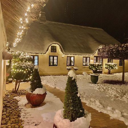Mindedalen - Idyl Taet Pa Alt Og Helt I Fred Apartment Billum Luaran gambar