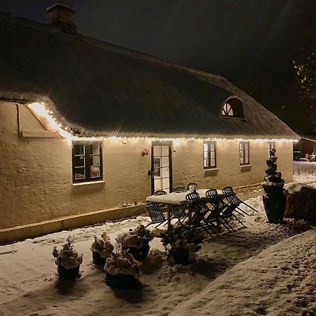 Mindedalen - Idyl Taet Pa Alt Og Helt I Fred Apartment Billum Luaran gambar