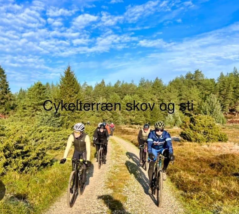 Mindedalen - Idyl Taet Pa Alt Og Helt I Fred Apartment Billum Luaran gambar