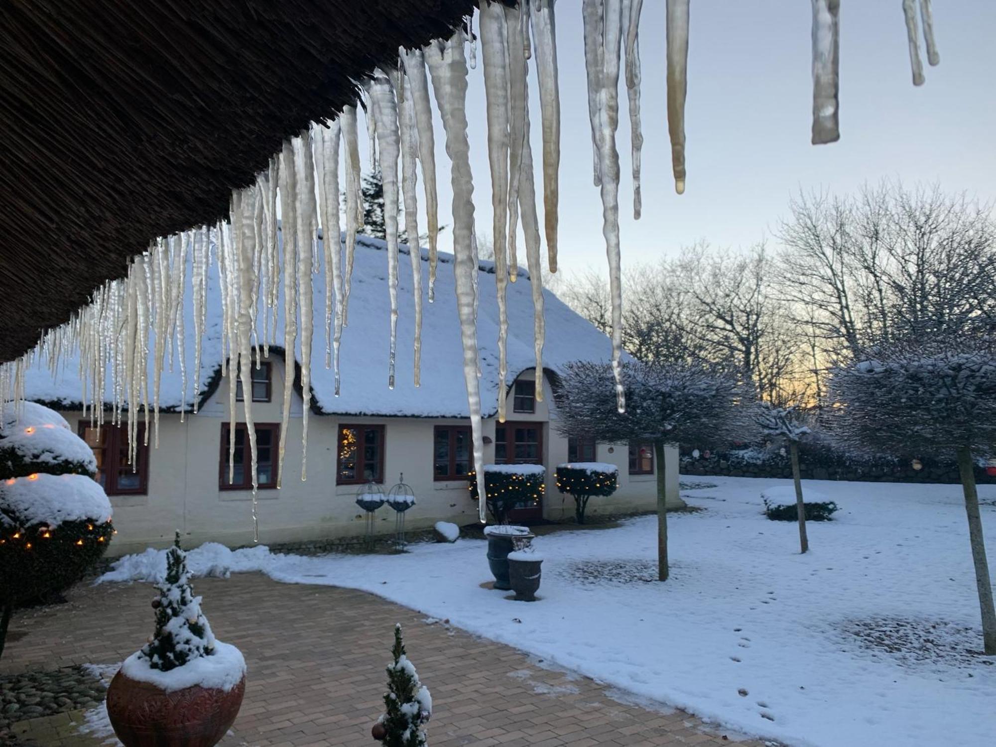 Mindedalen - Idyl Taet Pa Alt Og Helt I Fred Apartment Billum Luaran gambar