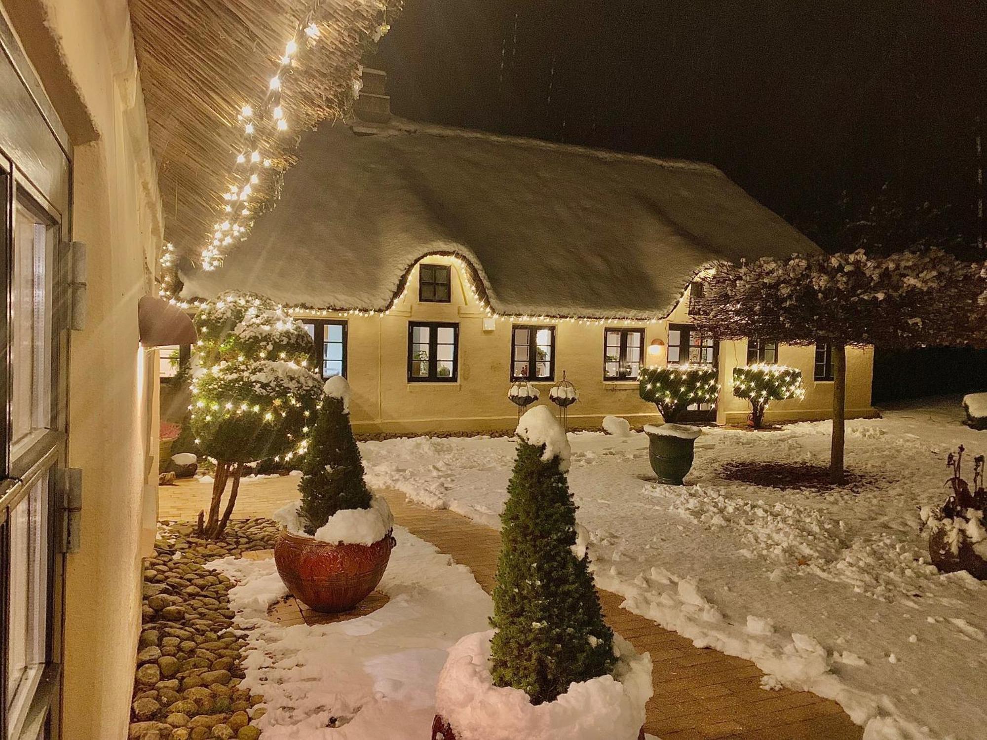 Mindedalen - Idyl Taet Pa Alt Og Helt I Fred Apartment Billum Luaran gambar